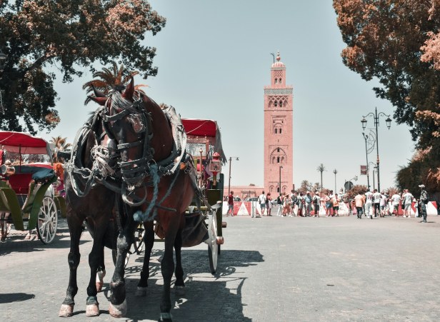 Best Budget Tours From Marrakech Morocco
