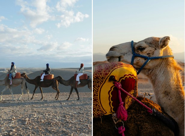 Agafay Desert on a Budget How to Experience the Dunes for Less