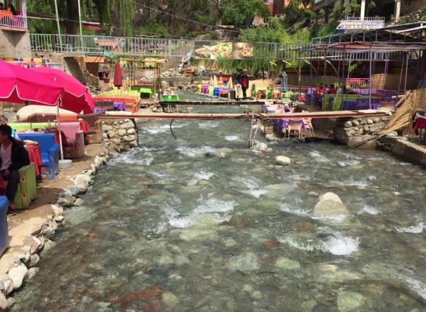 Ourika Valley Day Trip The Budget Travelers Complete Guide