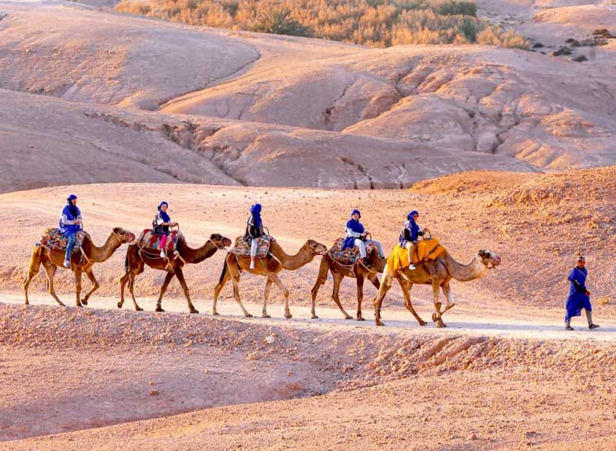 Marrakech to the Untamed Agafay Desert
